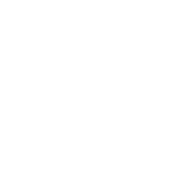 DSB